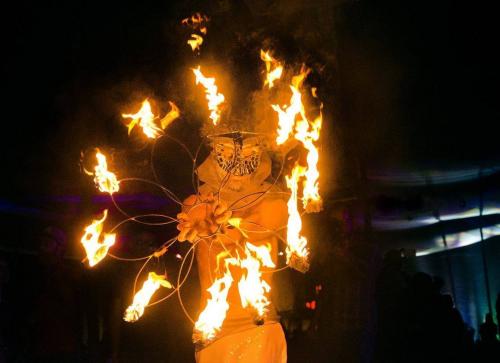 PSYCHEDELIC CIRCUS TRIBO